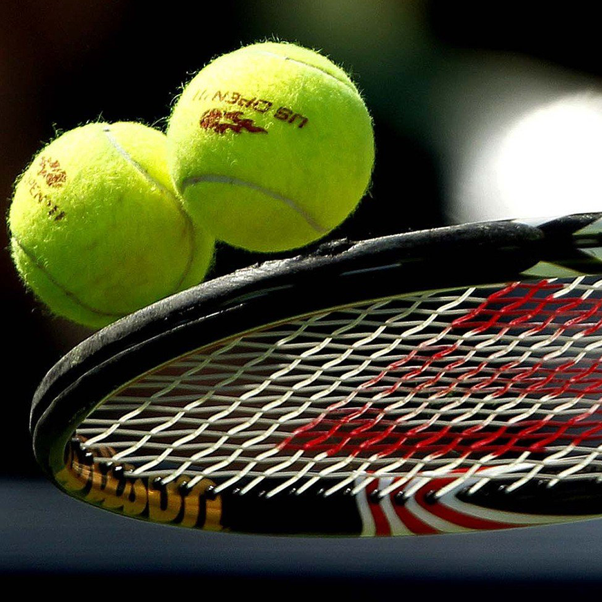 Scelerisque vestibulum urna